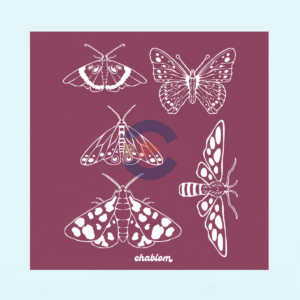 Silk Screen Printing 055 Chablom
