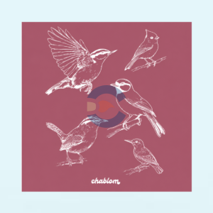 Silk Screen Printing 068 Chablom